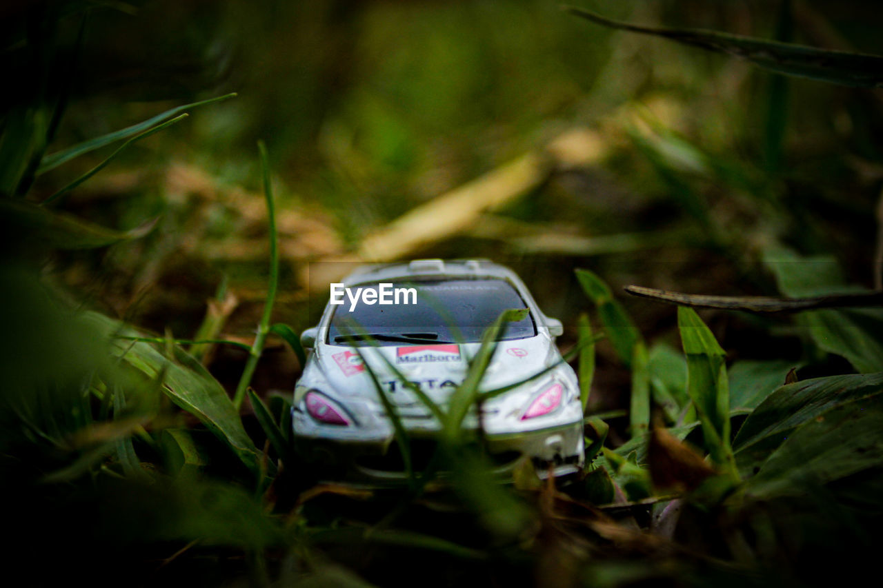 CLOSE-UP OF TOY CAR ON FIELD IN FOREST