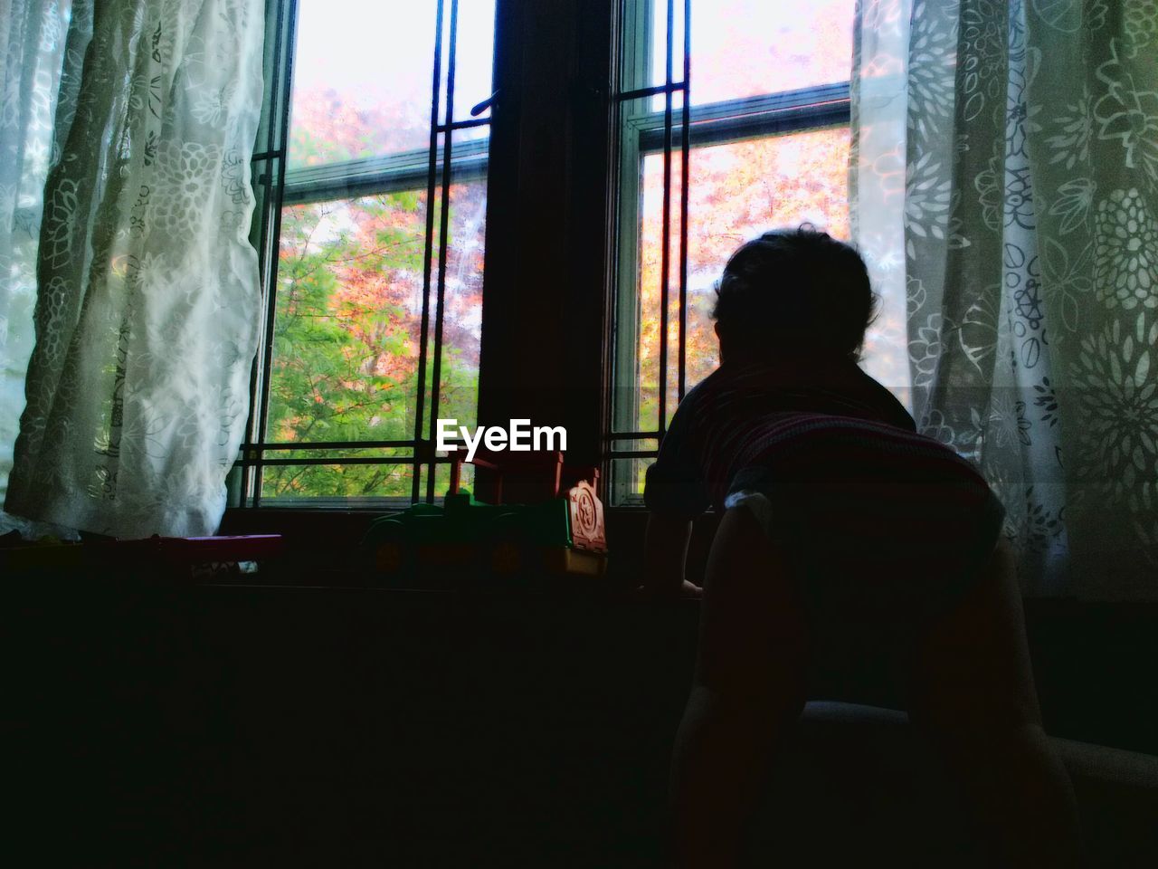 Rear view of man looking through window at home