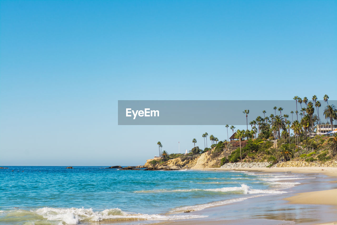 SCENIC VIEW OF BEACH AGAINST CLEAR SKY