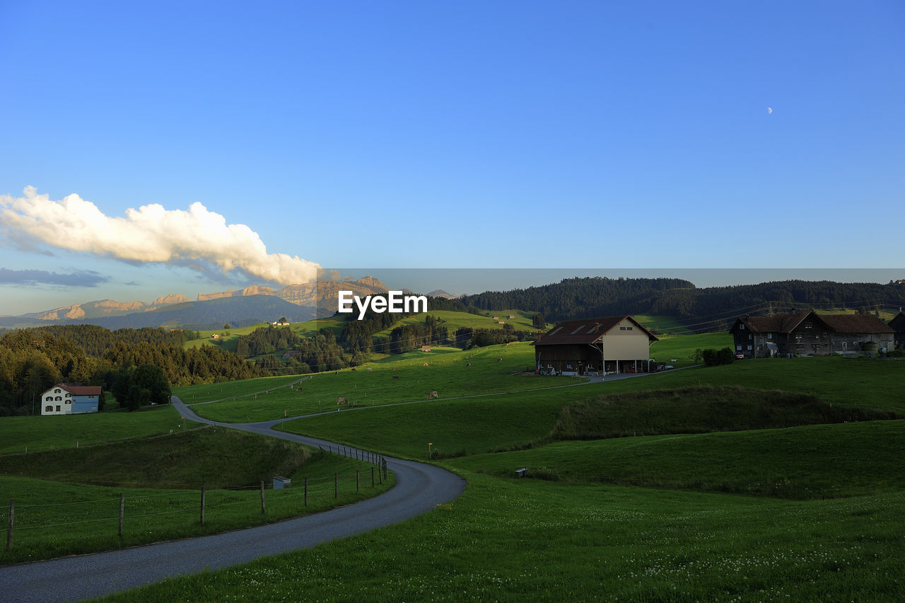 Scenic view of agricultural field against blue sky