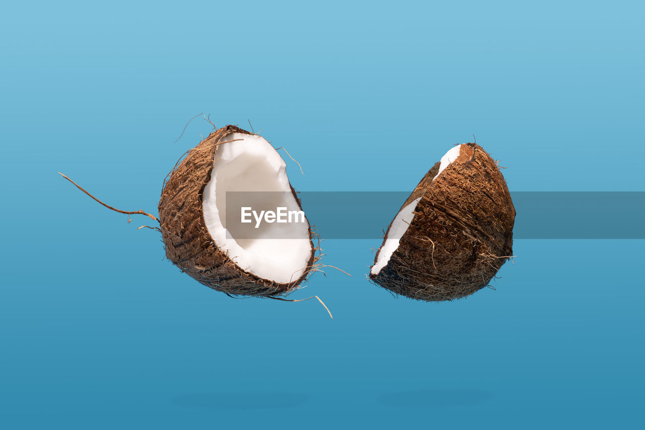 Floating coconut split on half on blue background. creative food concept