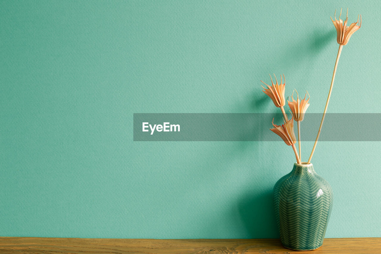 CLOSE-UP OF PLANT ON TABLE AGAINST WALL