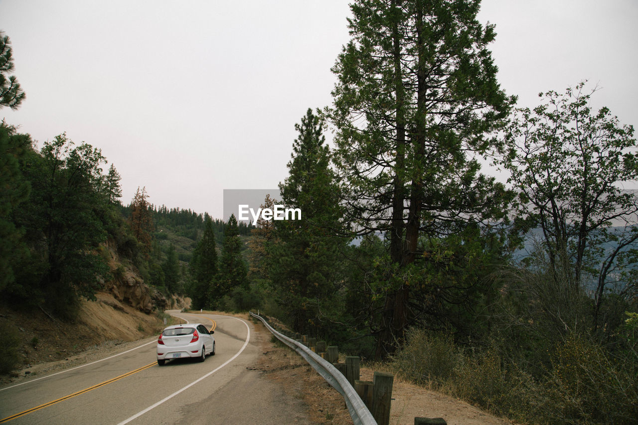 Cars on road