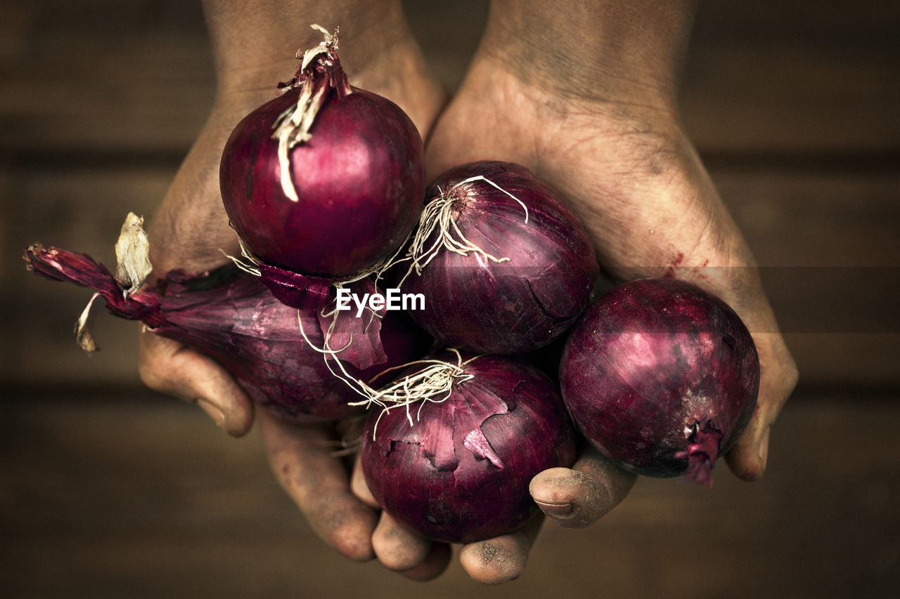 Hands holding red onions, studio shot