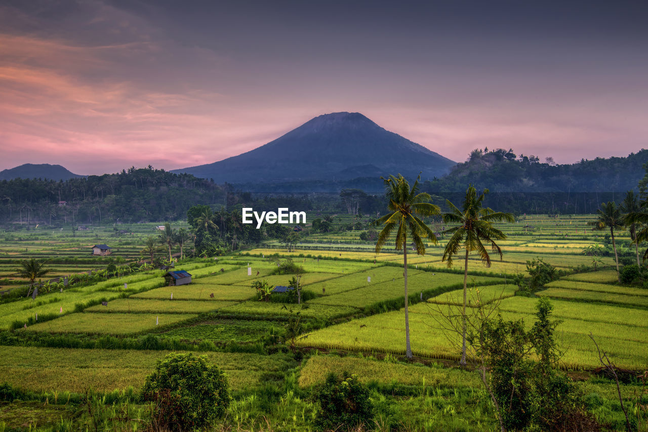 The scenery of mount agung, karangasem bali