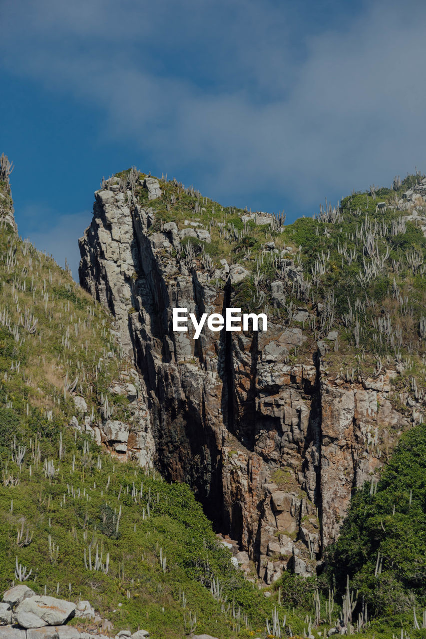 sky, nature, rock, environment, mountain, plant, land, scenics - nature, landscape, beauty in nature, cloud, cliff, travel destinations, no people, non-urban scene, travel, tree, terrain, outdoors, rock formation, grass, tourism, tranquility, pine tree, coniferous tree, mountain range, pinaceae, geology, day, tranquil scene, activity, wilderness, ridge, pine woodland, adventure, animal wildlife, leisure activity, forest, walking, outdoor pursuit