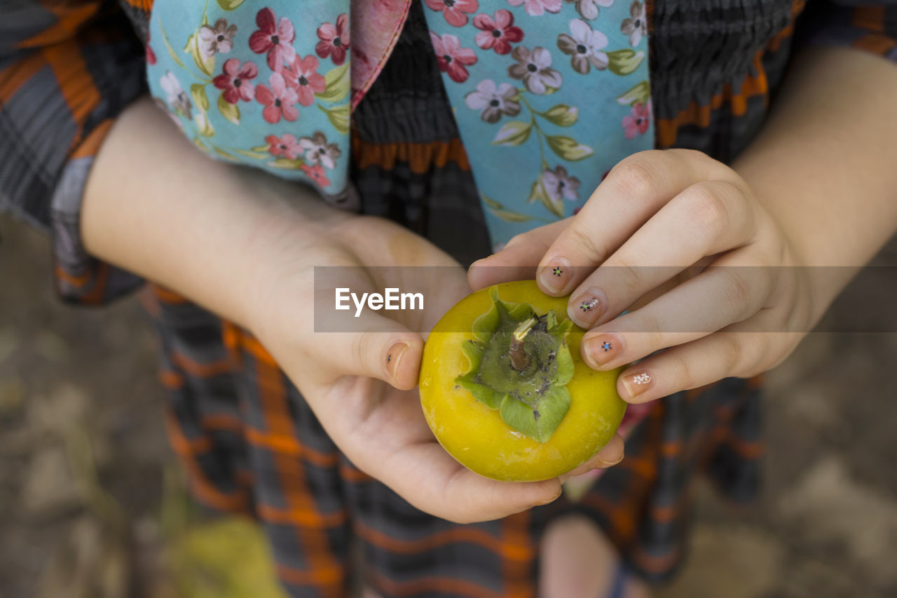 Midsection of woman holding persimmon