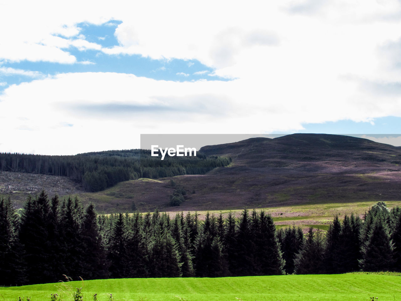 SCENIC VIEW OF GRASSY FIELD AGAINST SKY