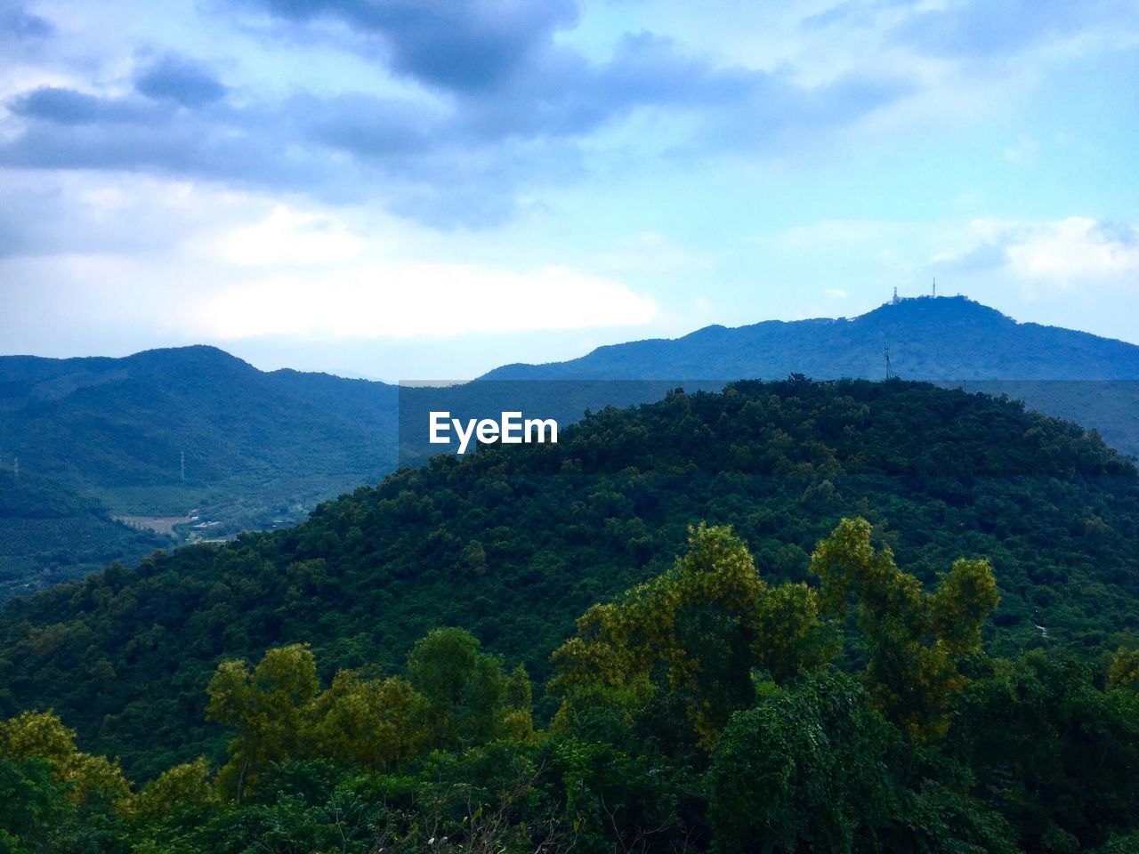 TREES AND MOUNTAINS AGAINST SKY