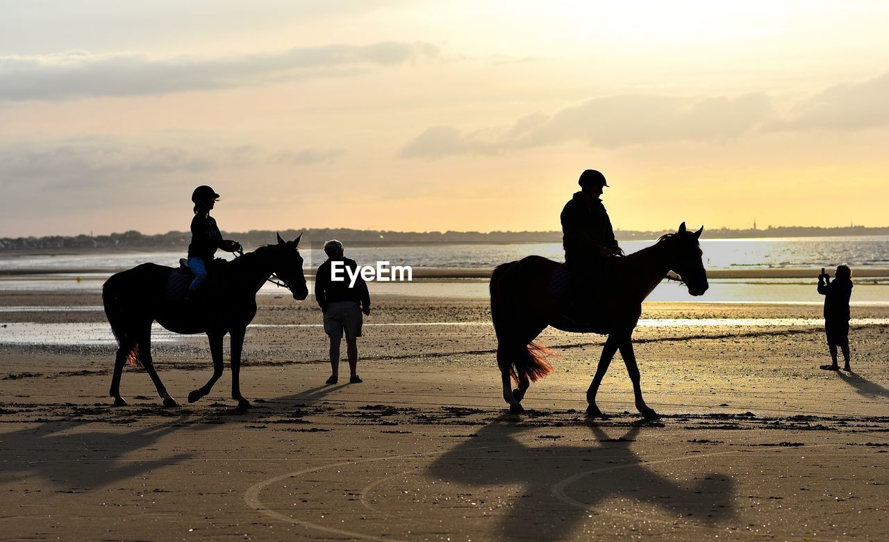 Silhouette of people riding horse at beach against sky during sunset