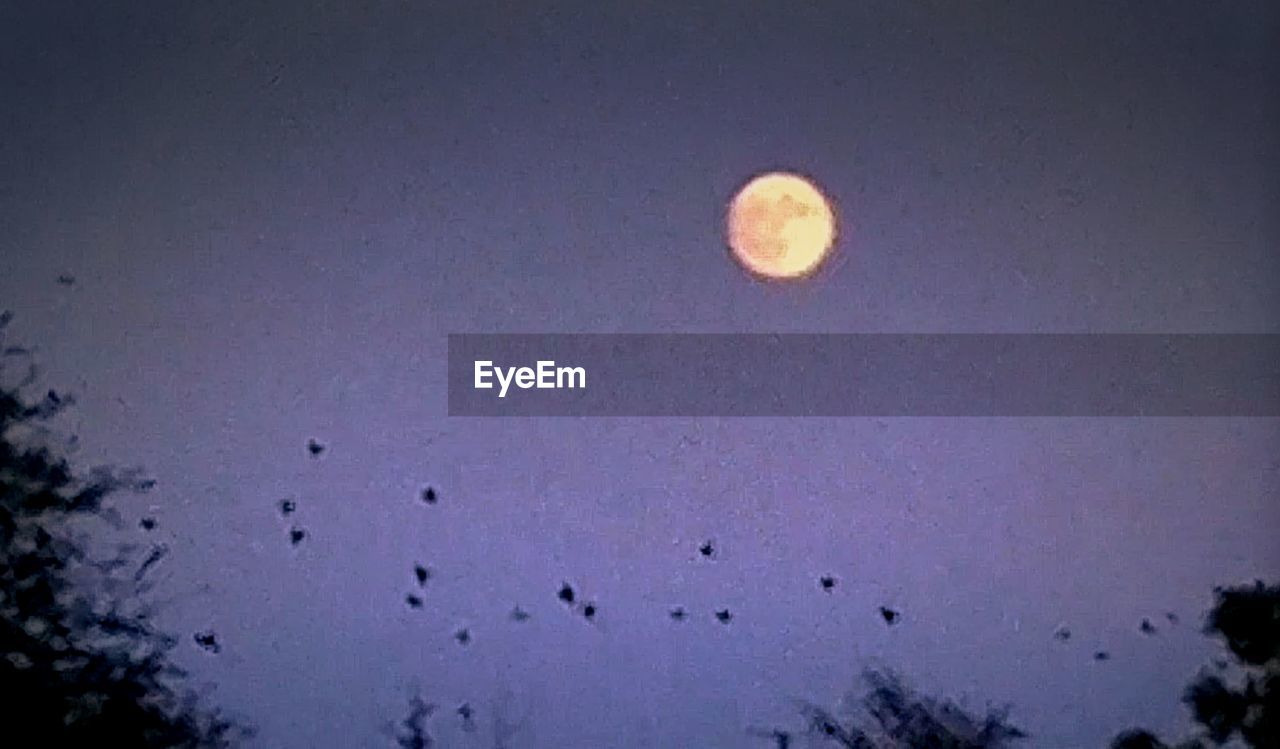 LOW ANGLE VIEW OF MOON AGAINST CLEAR SKY