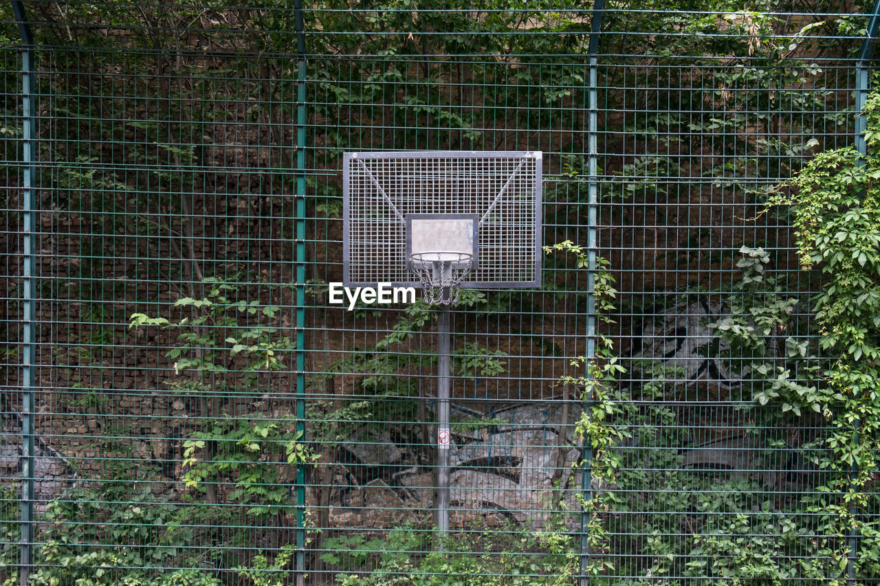 Basketball hoop with netting