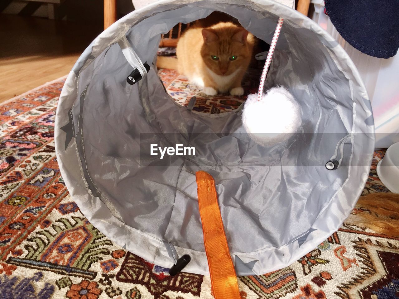 HIGH ANGLE VIEW OF CAT ON TABLE AT HOME