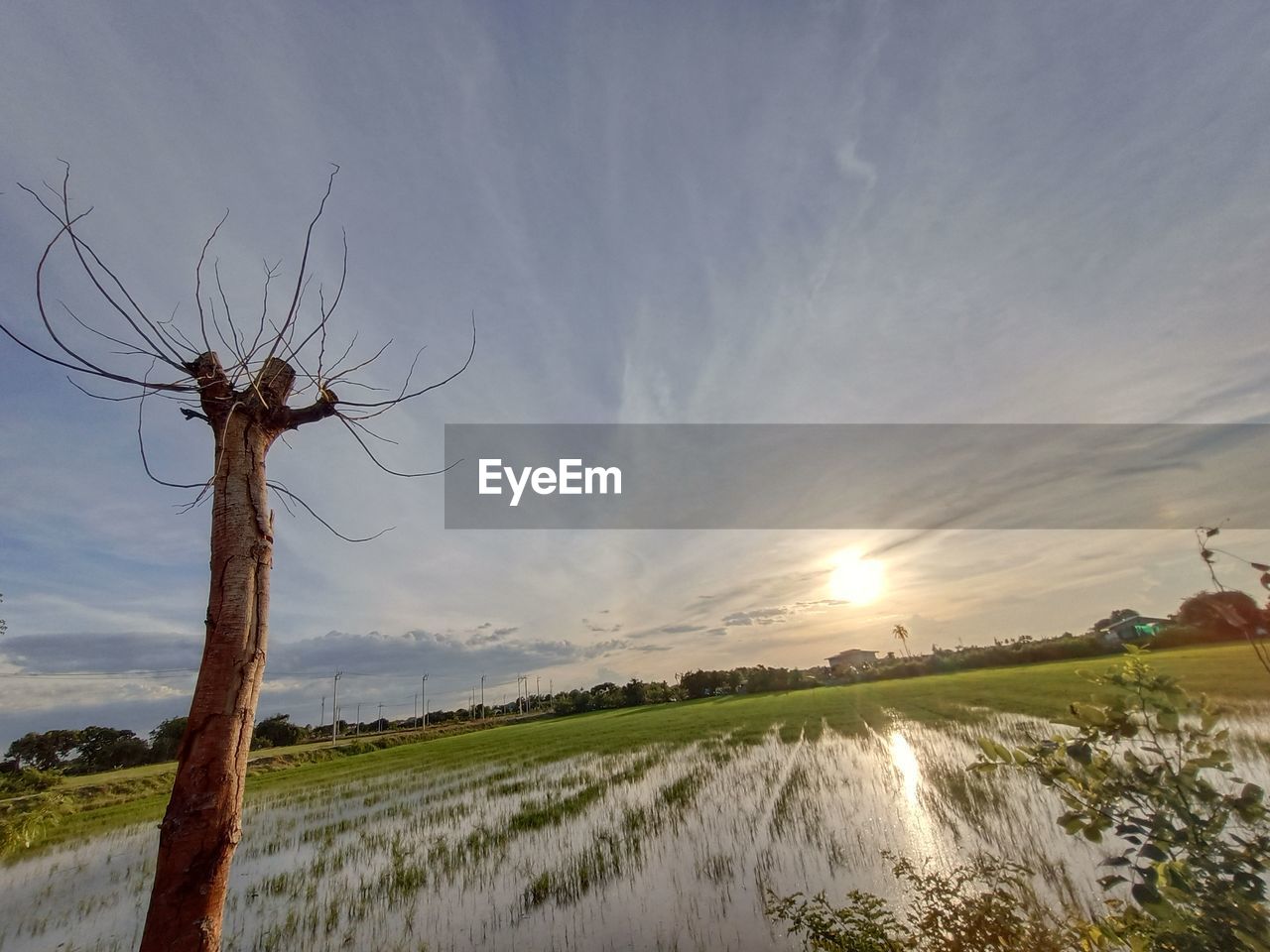 SCENIC VIEW OF LAND AGAINST SKY