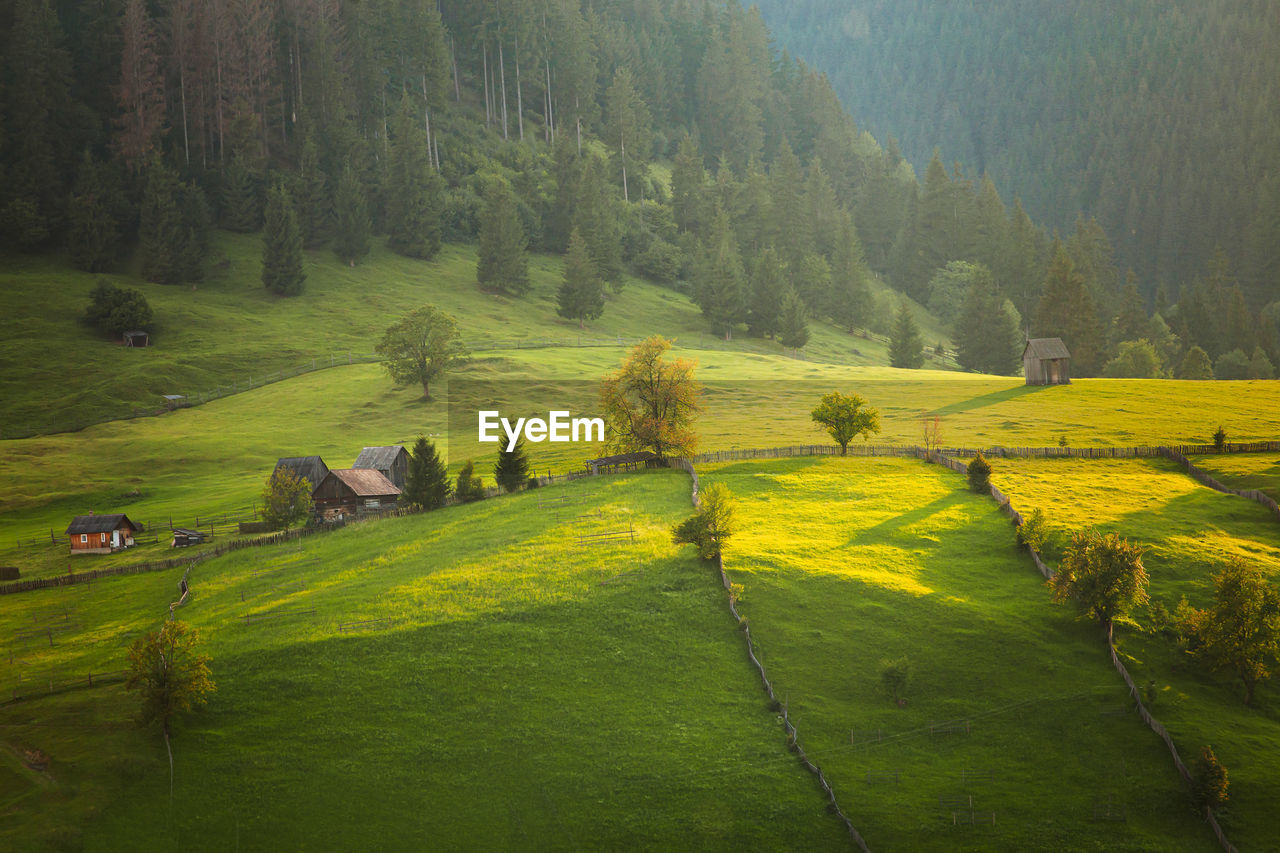 SCENIC VIEW OF FARM