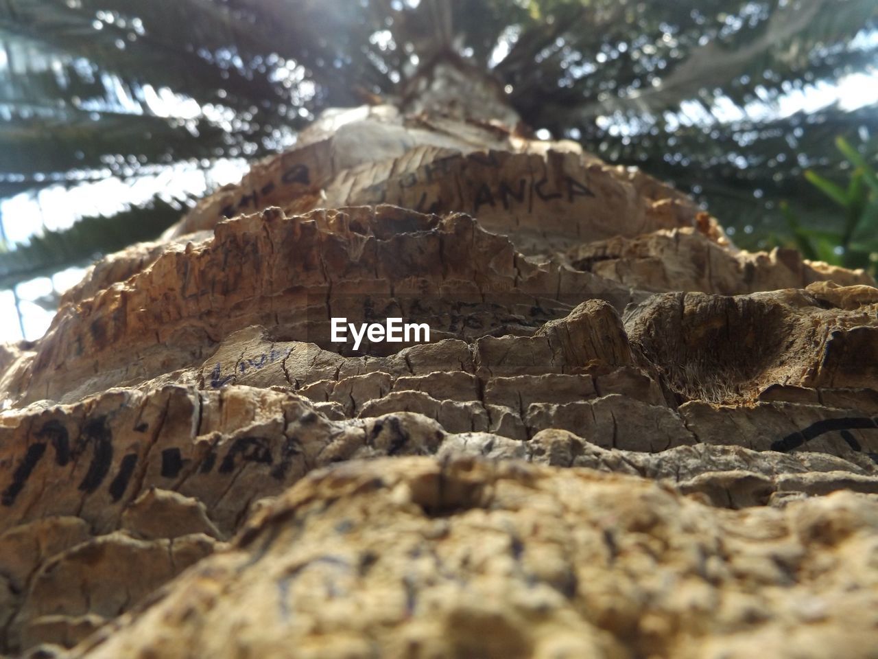 Low angle view of rock formations