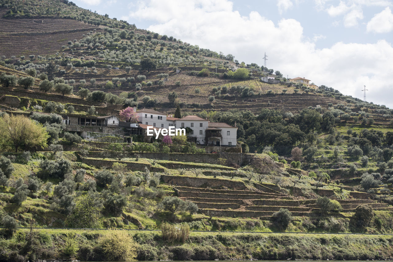 SCENIC VIEW OF CASTLE AND HOUSES AGAINST SKY