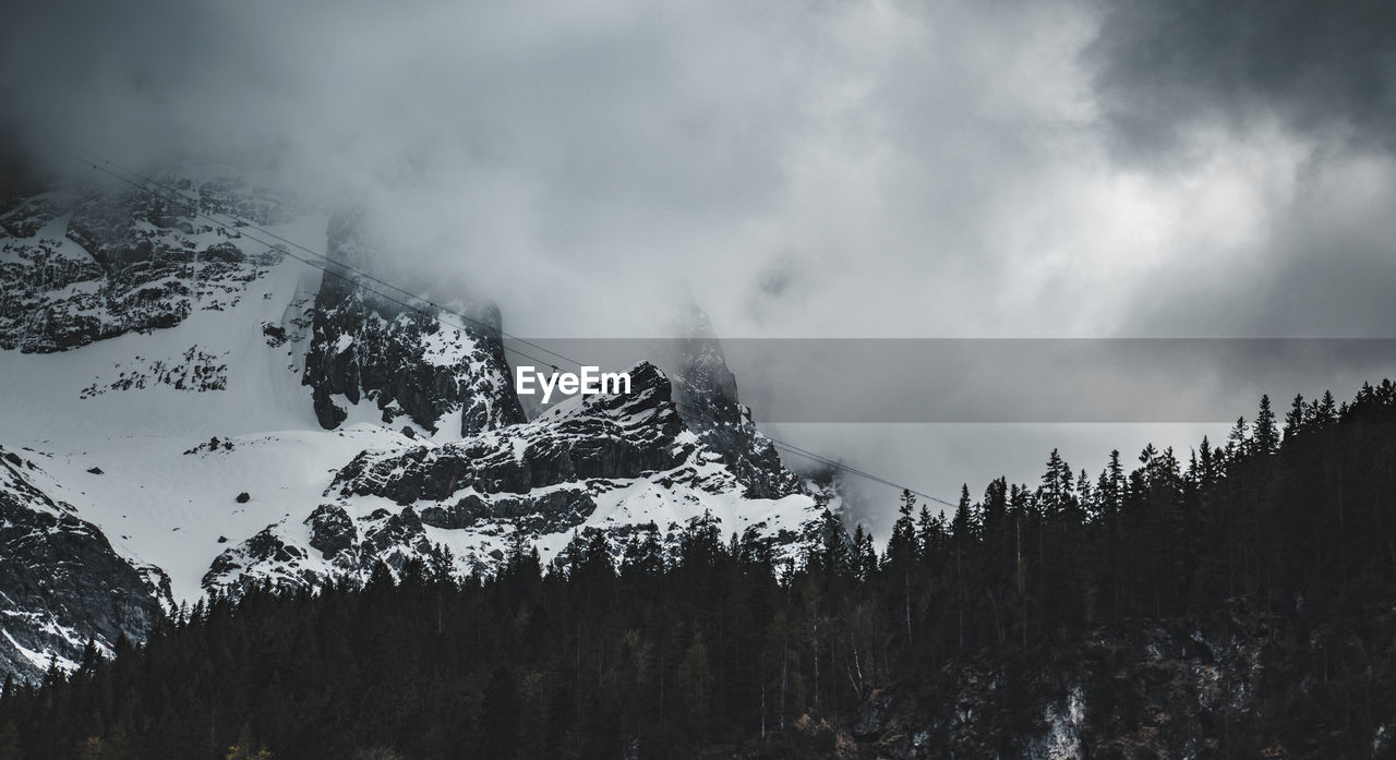 mountain, tree, scenics - nature, snow, cloud, beauty in nature, environment, sky, cold temperature, winter, landscape, forest, nature, plant, land, mountain range, pinaceae, coniferous tree, snowcapped mountain, pine tree, pine woodland, no people, non-urban scene, travel destinations, tranquility, travel, tranquil scene, mountain peak, outdoors, fog, woodland, tourism, black and white, monochrome, panoramic, wilderness, day