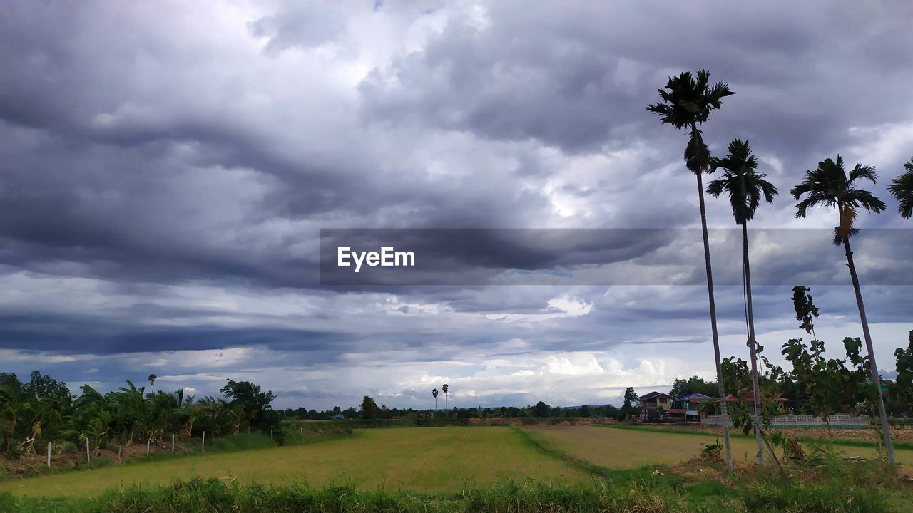 SCENIC VIEW OF FARM AGAINST SKY