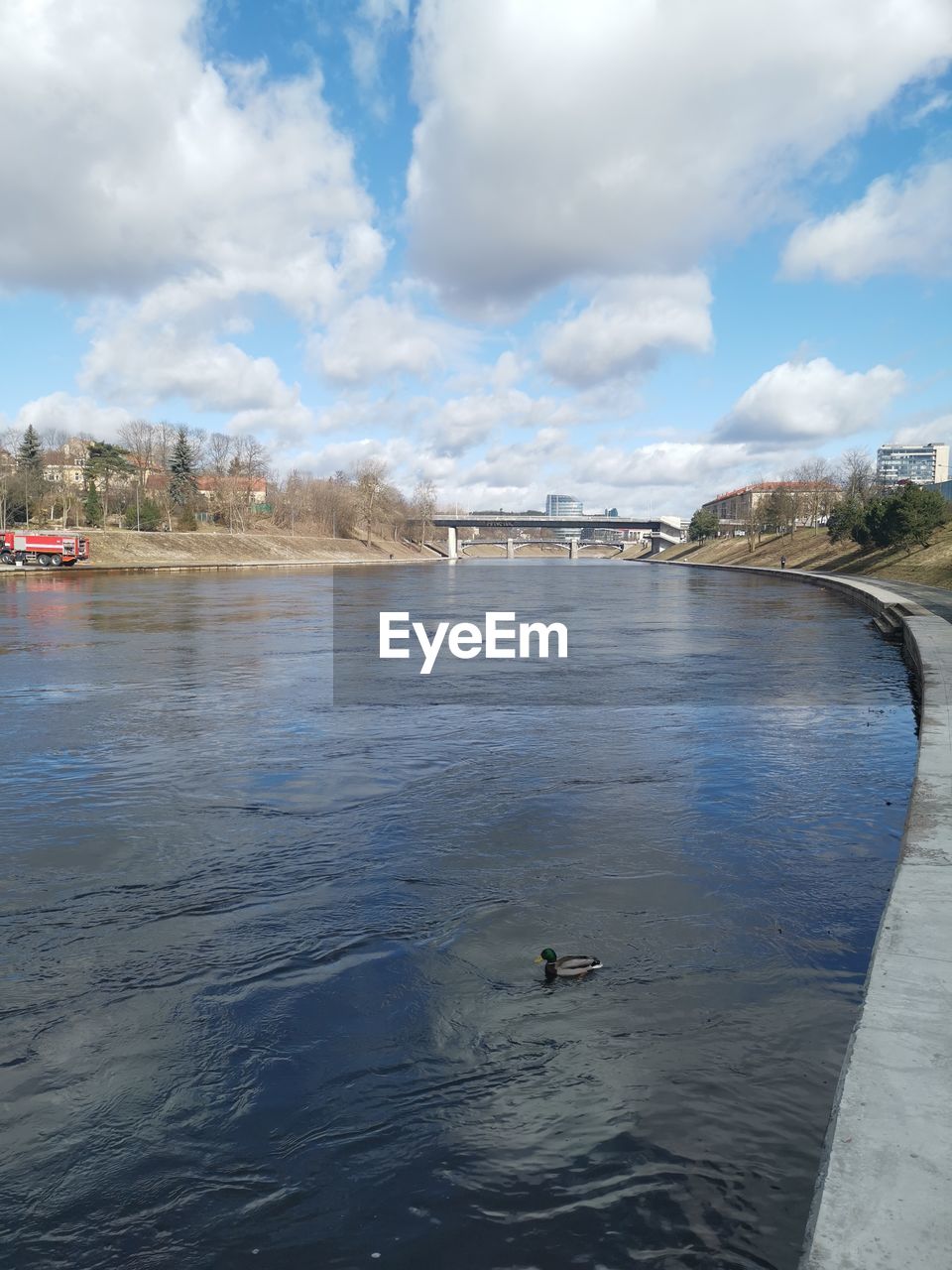 water, cloud - sky, sky, built structure, architecture, nature, bridge, connection, day, river, bridge - man made structure, vertebrate, no people, animal, beauty in nature, outdoors, transportation, animal themes, waterfront