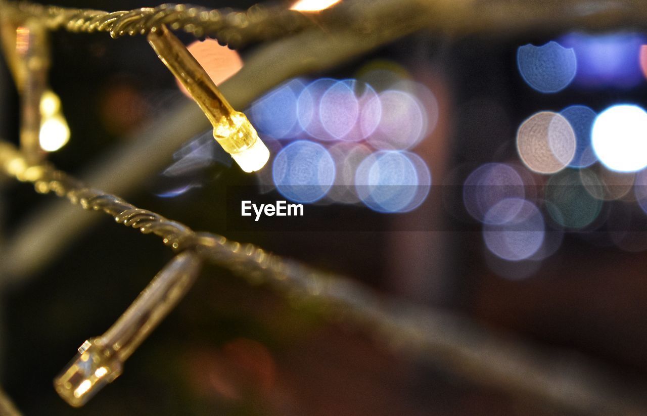 Close-up of christmas lights on twig