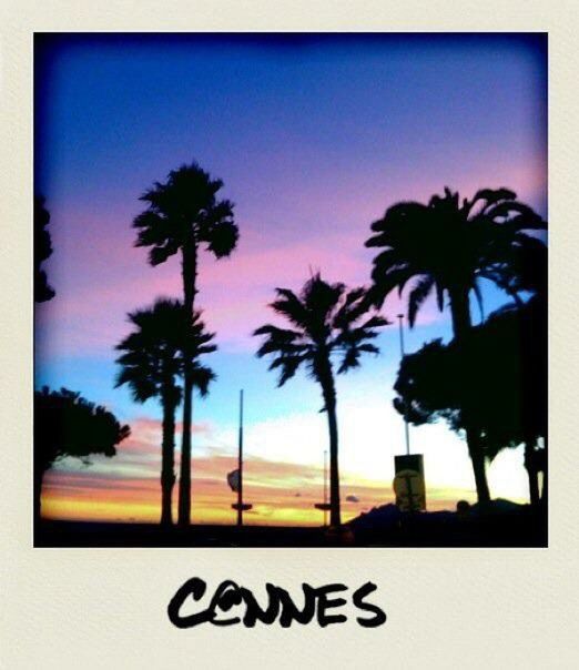 PALM TREES AT SUNSET
