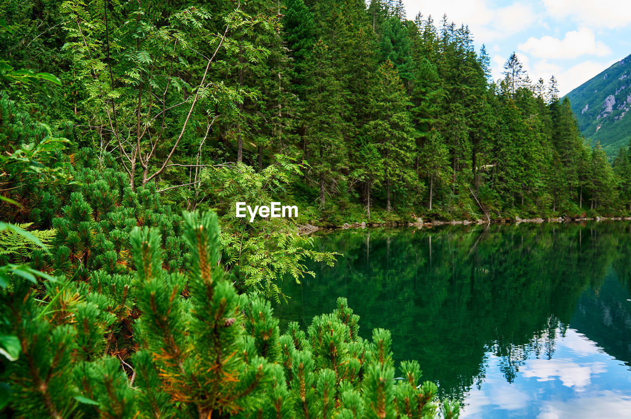 Mountains range near beautiful lake. tatra national park in poland. morskie oko or sea eye lake