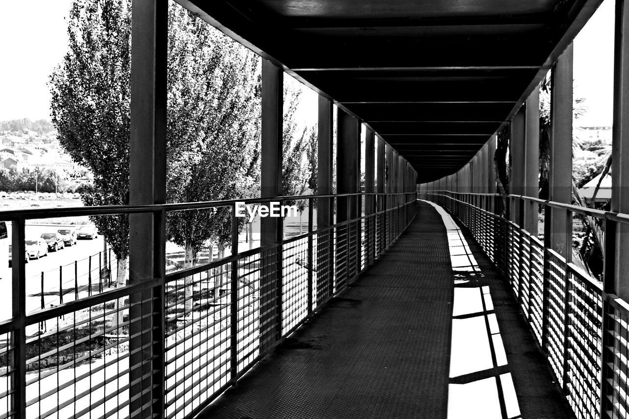 Elevated walkway in garden