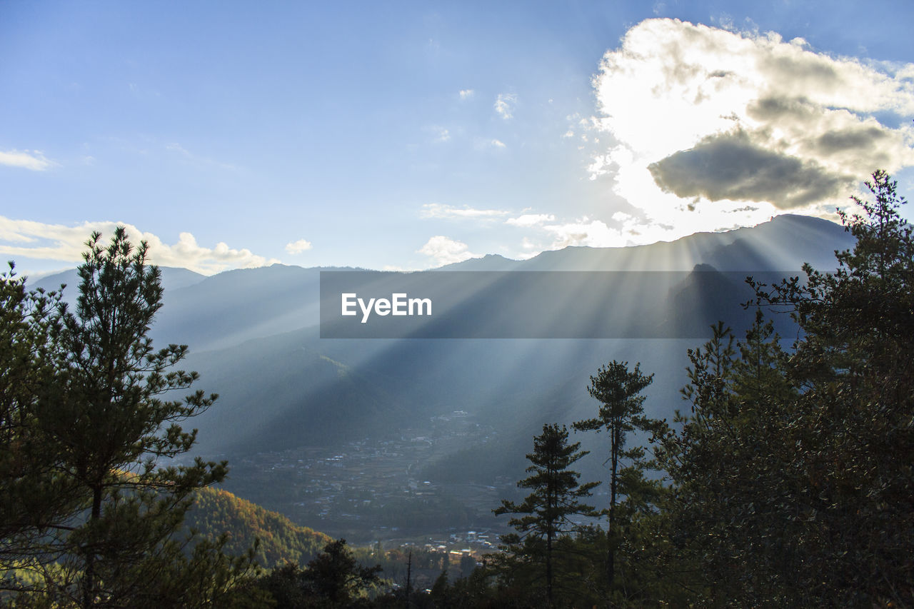 SUNLIGHT STREAMING THROUGH TREES ON MOUNTAIN AGAINST SKY