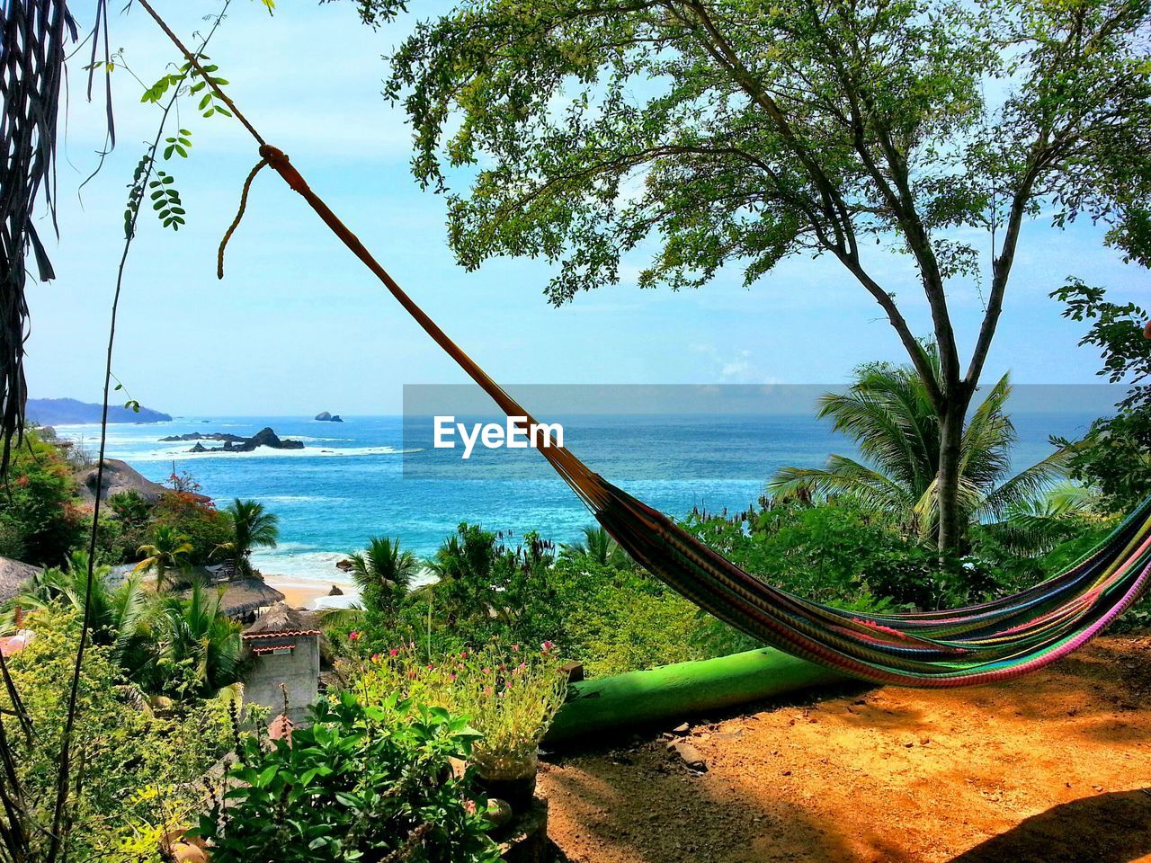 SCENIC VIEW OF SEA WITH TREES IN BACKGROUND