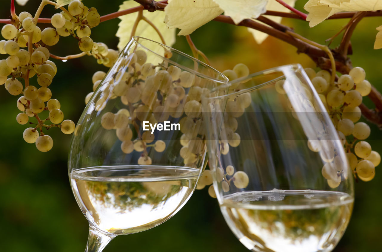 Close-up of wineglasses against grapes