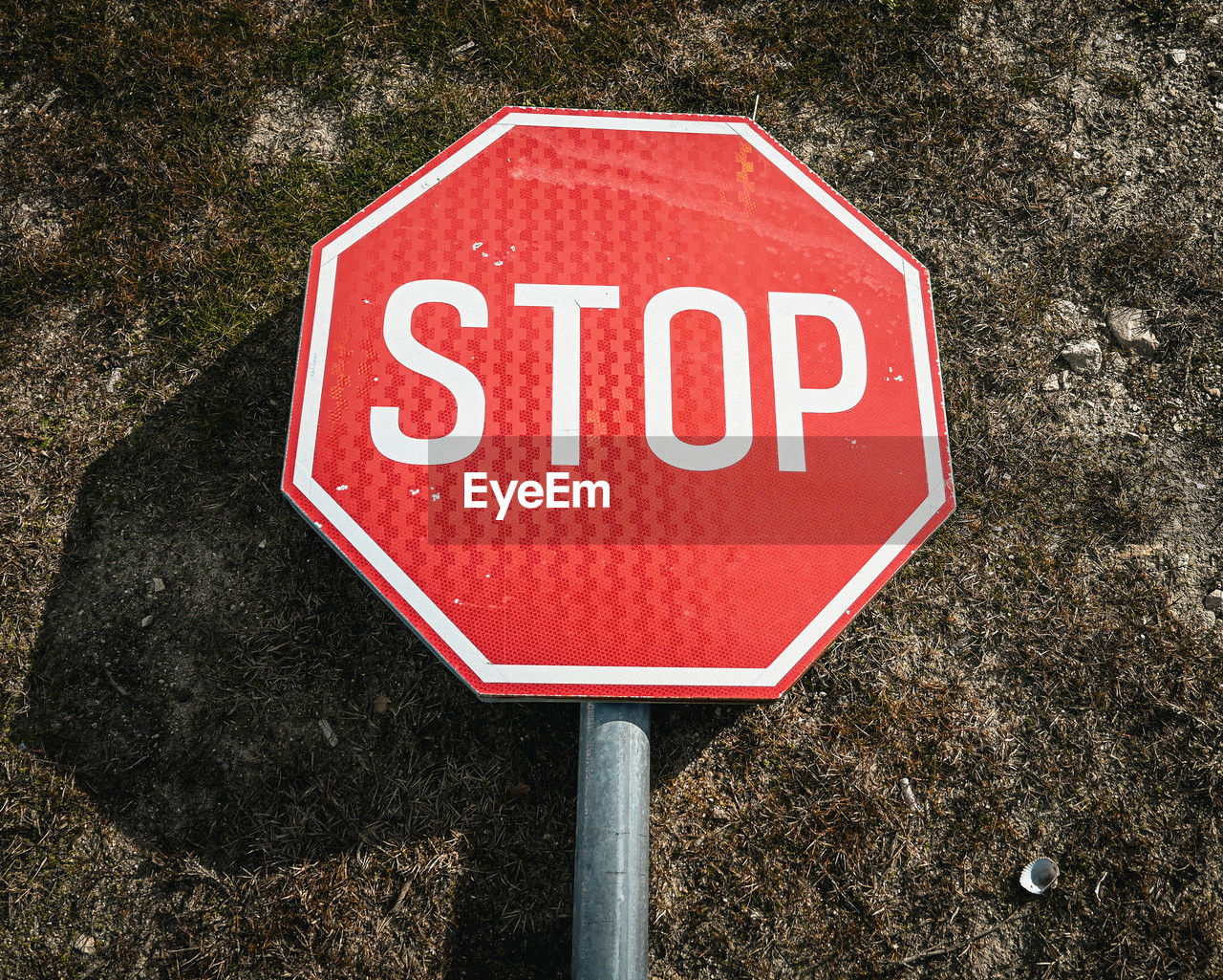 Close-up of road sign