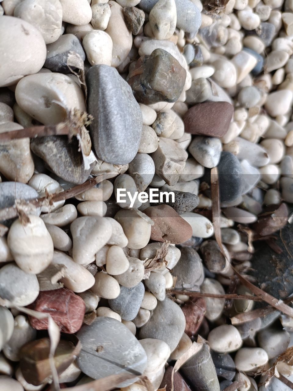 large group of objects, pebble, abundance, rock, full frame, no people, backgrounds, stone, gravel, nature, land, high angle view, close-up, day, beach, outdoors, still life, beauty in nature, variation, wood, shell