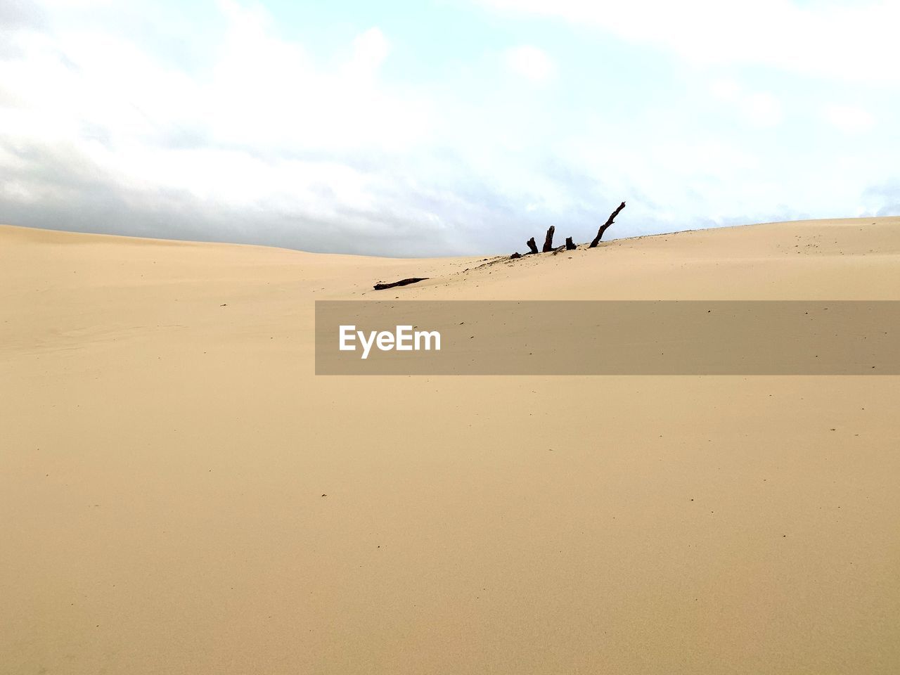 View of sand dunes in desert against sky