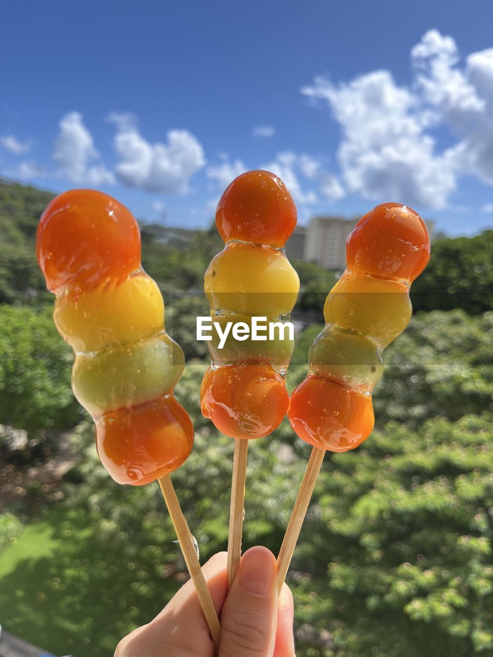 hand, holding, one person, food and drink, plant, food, flower, nature, sky, fruit, yellow, healthy eating, finger, orange color, outdoors, day, adult, freshness, close-up, tree, focus on foreground, lifestyles, leisure activity, produce, multi colored, wellbeing