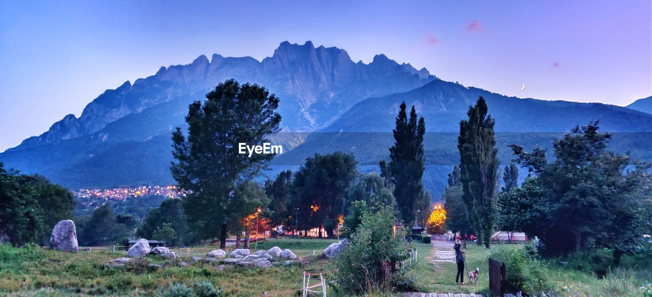 PANORAMIC VIEW OF TREES AND PLANTS AGAINST SKY