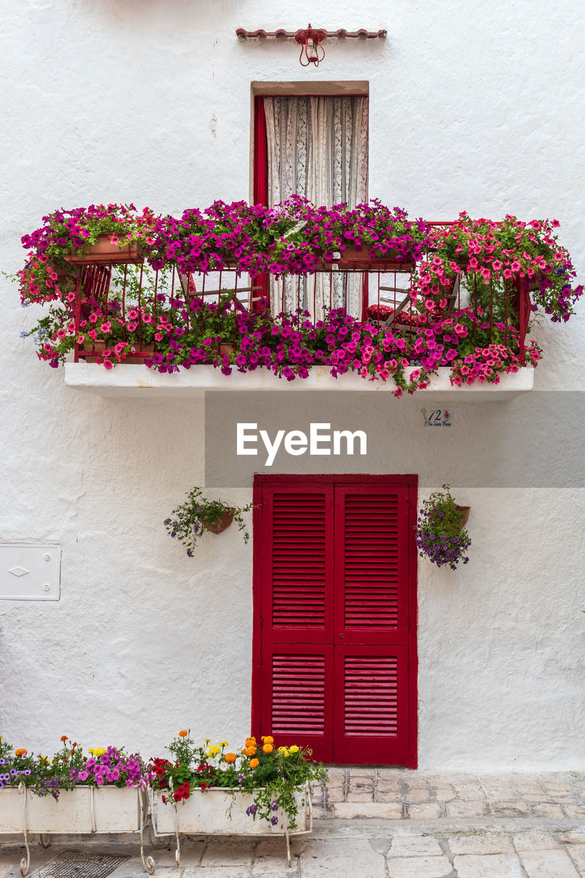 PINK FLOWER POT BY WINDOW ON BUILDING