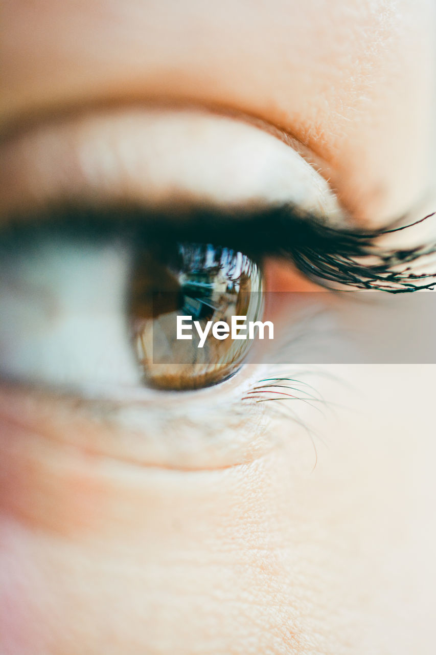 Close-up of human eye