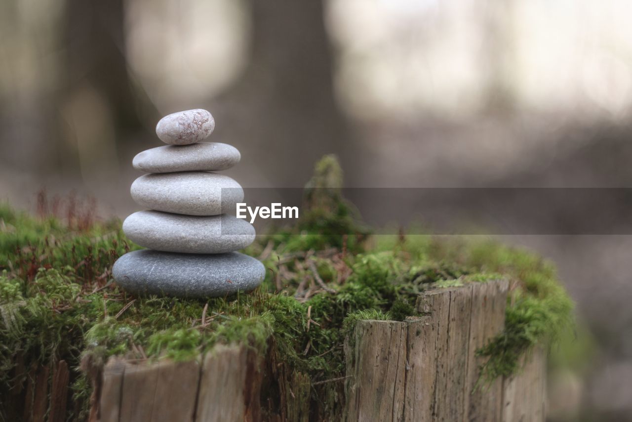Pyramid of stones in the forest on a stump covered with moss. zen and meditation.