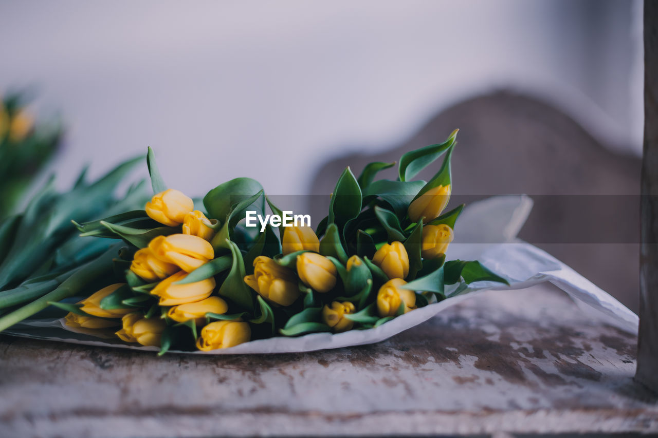 Close-up of yellow tulips on table