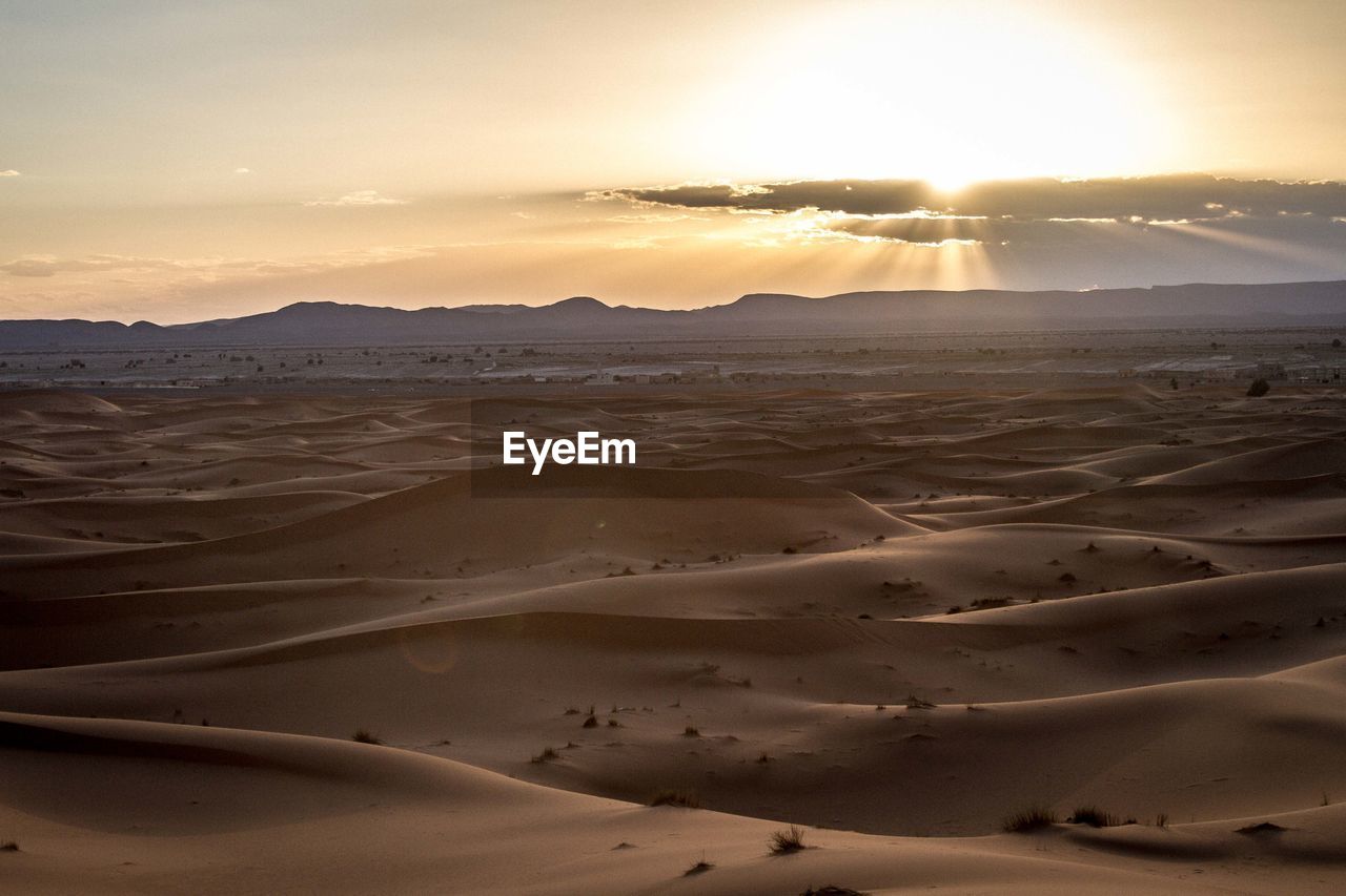 Sand dunes in desert at sunrise