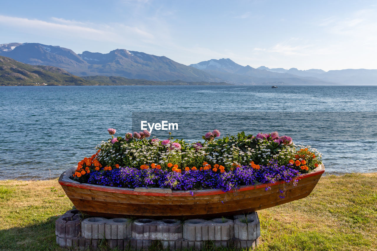Brown wooden flower pot boat with flowers on the shore of a lake and with mountains