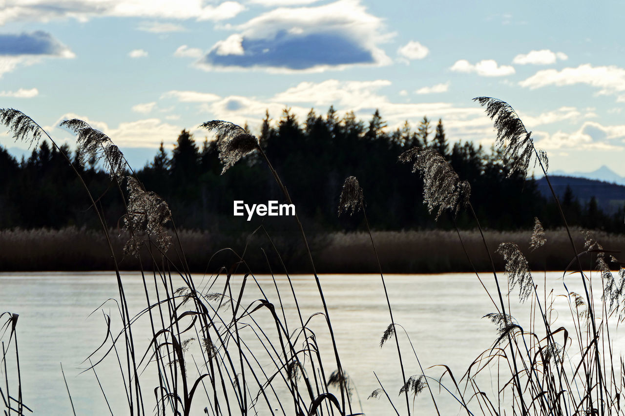 IDYLLIC VIEW OF LAKE AGAINST SKY