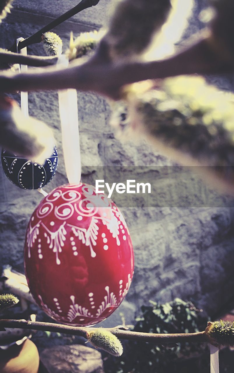 CLOSE-UP OF RED ROSE