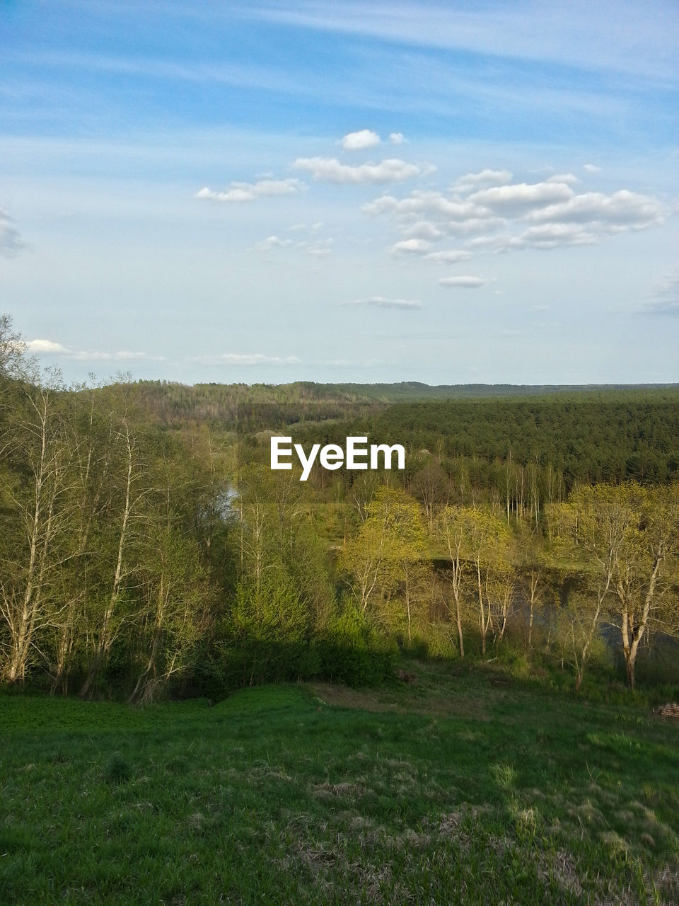 SCENIC VIEW OF GREEN FIELD AGAINST SKY