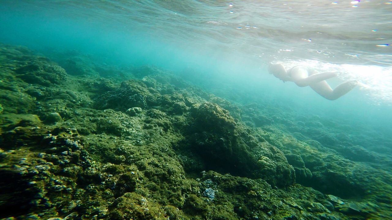 Person swimming in sea