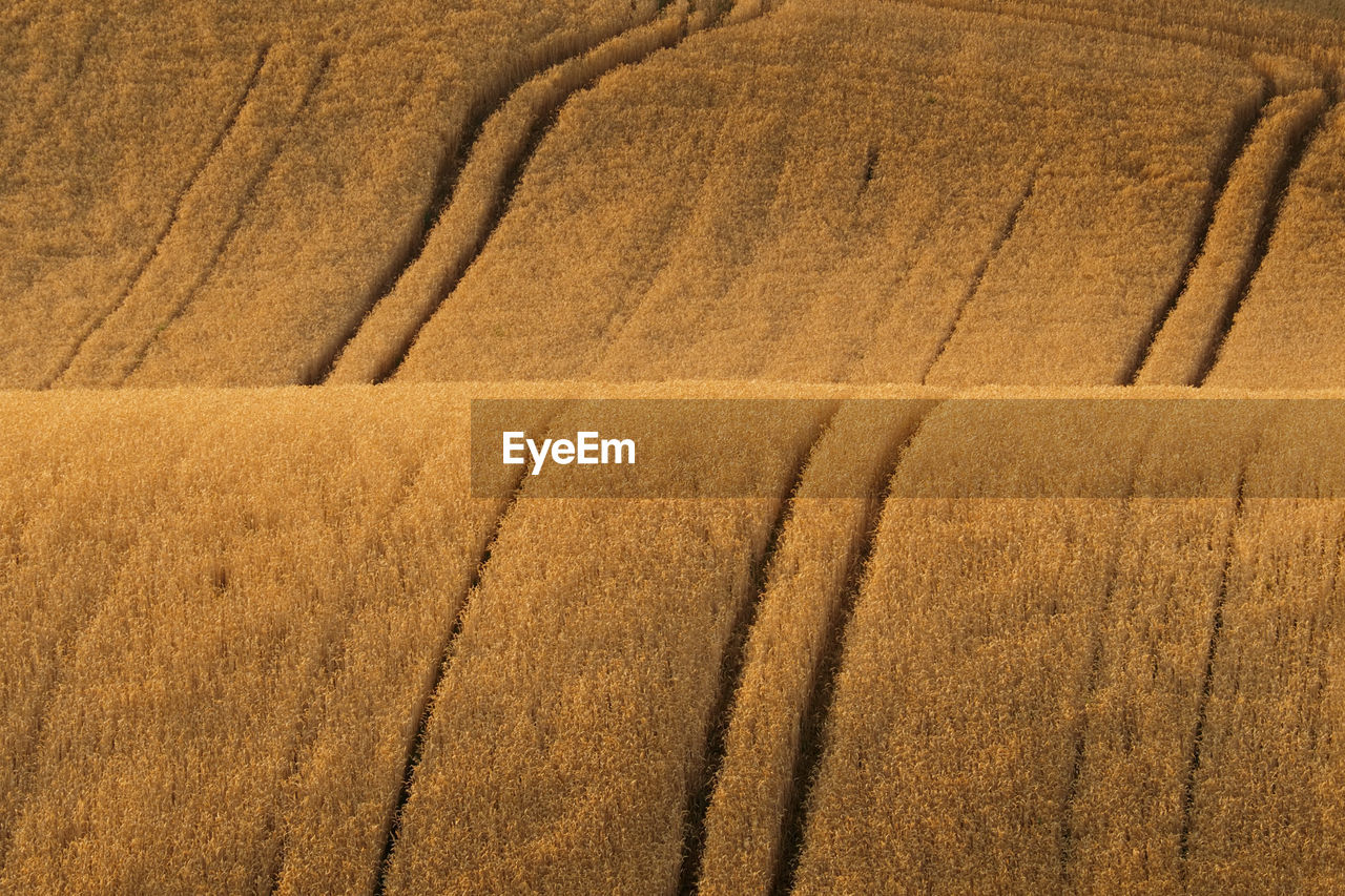 Rolling fields after harvest in south moravia, czech republic