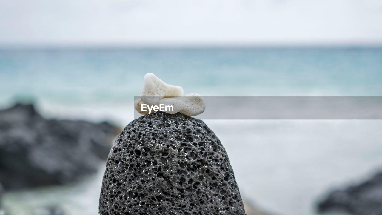 Close-up of rock on beach against sky