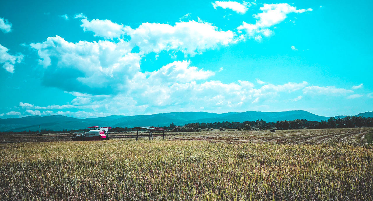 VIEW OF FIELD AGAINST SKY