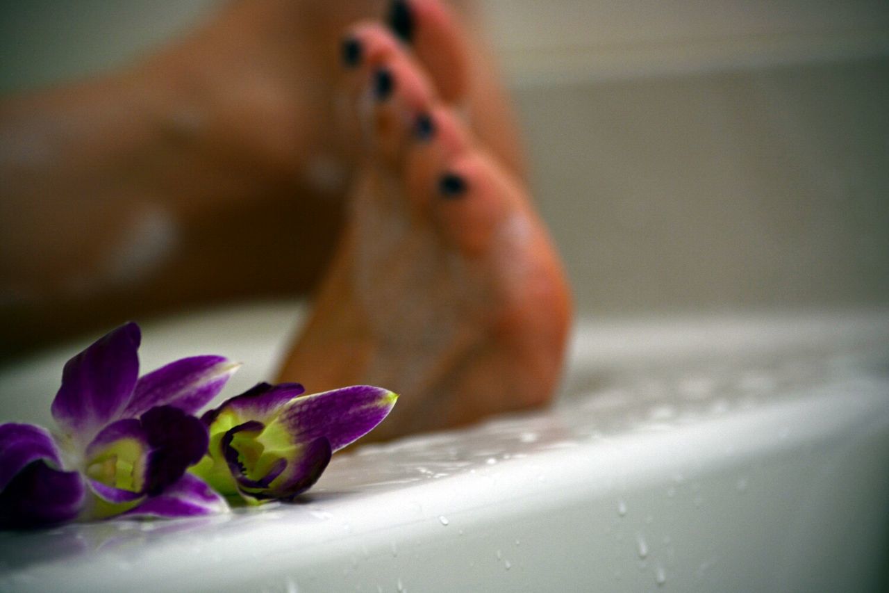 Close-up of flowers on bathtub